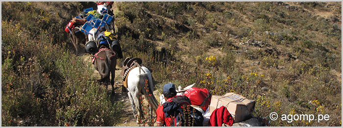 Trekking Cedros Alpamayo & Huascaran circuito 
